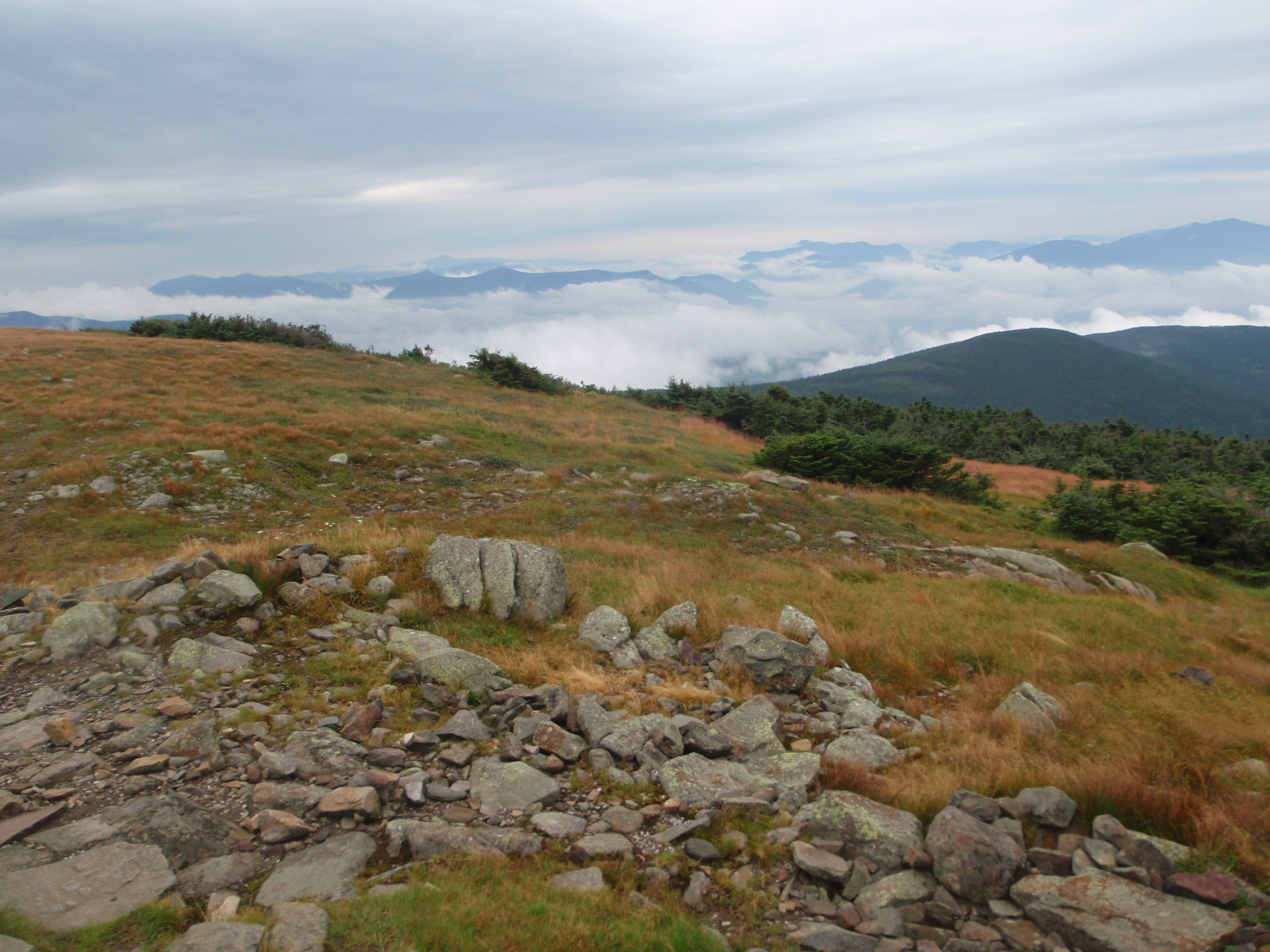 Photograph showing part of the summit of Mount Moosilauke in New Hampshire.